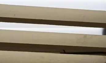 Imagem 3: Casa 3qts na Serraria