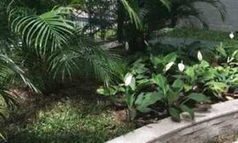 Imagem 3: Alugo apartamento no Espinheiro com 3 quartos nascente, prédio novo