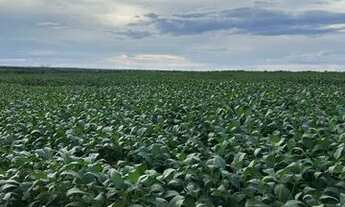 Imagem 4: Fazenda 73 Alq perto de Divinopolis