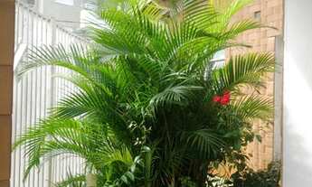 Imagem 5: 4701- CASA INDEPENDENCIA, 3 DORMS