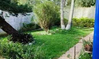 Imagem: Terreno com duas casas