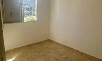 Imagem 6: Horto florestal lindo