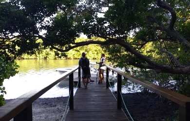 Imagem 3: Lote no Belleville Litoral Sul (Leste