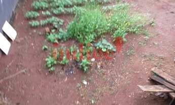 Imagem 3: Casas à venda 1 quarto Parque São Paulo (Vila Xavier) Araraquara