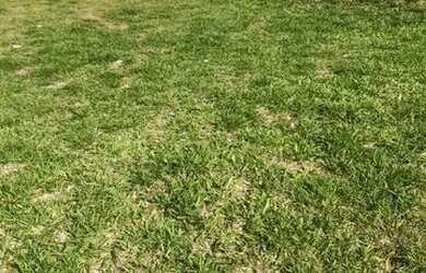 Imagem 5: Venda - Terreno 448 m2 Condominio Brisas Jundiaí (Praticamente Plano