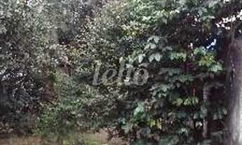 Imagem 3: São Paulo - Terreno Padrão - Mooca