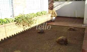 Imagem 3: São Paulo - Casa Comercial - Jardins