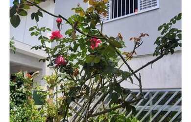 Imagem 2: Sobrado residencial para venda Burgo Paulista