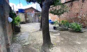 Imagem 7: Casa no torrões