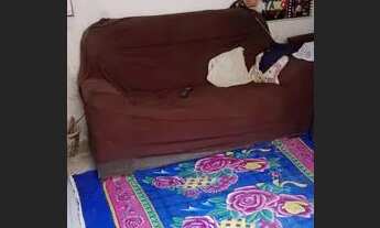 Imagem 6: Vendo uma casa em campo grande próximo ao centro fácil condução precisa de uma pequena ref