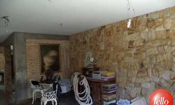 Imagem 2: São Paulo - Casa Padrão - Tatuapé