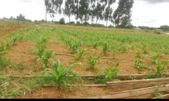 Imagem 7: Ótima oportunidade - Investir ou morar