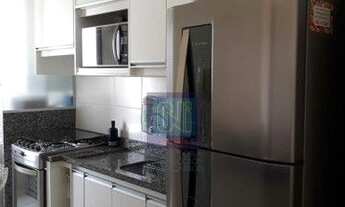 Imagem 7: MARCO DOS PIONEIROS