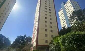 Imagem 7: Horto florestal lindo