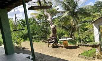 Imagem 4: Vende-se um encantador sítio em São Lourenço da Mata