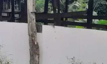 Imagem 2: Terreno próximo ao Cantinho da tilápia codigo: 85098