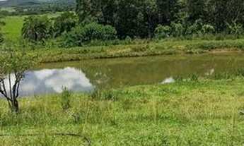 Imagem 2: Chácara em Americano do Brasil, Goiás 3 alqueires 1.300.000