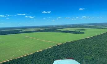 Imagem 2: Fazenda 6.402 hec em nova motum MT. 150 milhões