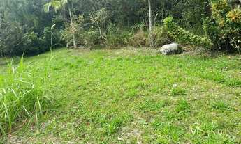 Imagem 3: Terreno à venda, 2400 m² por R$ 1.600.000,00 - Ratones - Florianópolis/SC