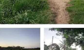 Imagem 4: Seu refúgio em Arembepe: viva dias de paz, conforto e natureza