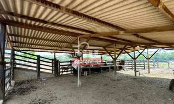 Imagem 5: Fazenda 56 alqueires ( 271 hectares ) Crixas GO