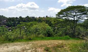 Imagem 5: Lote no Bairro Oriente Pinheiral. i