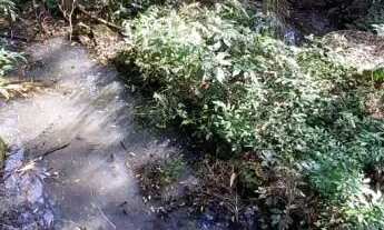 Imagem 6: Área de terra bairro Linha Olinda, Nova Petropólis.RS REF: 246