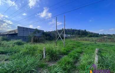 Imagem 3: AREA - RESSACA - SP