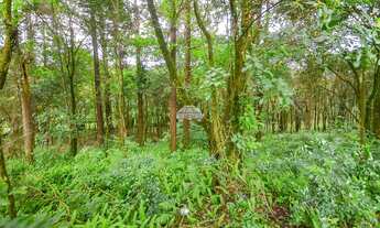 Imagem 3: Vendas Terreno Almirante Tamandaré PR