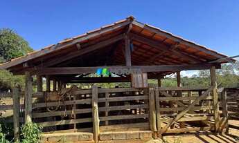 Imagem 6: FAZENDA À VENDA - 100 HECTARES - MORRO DA GARÇA (MG
