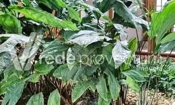 Imagem 5: Terreno - Tanquinho Velho - Jaguariúna