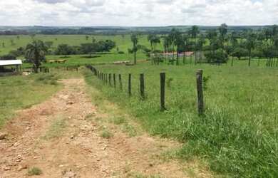 Imagem 7: Fazenda à venda de 86 alqueires em Guapo-GO