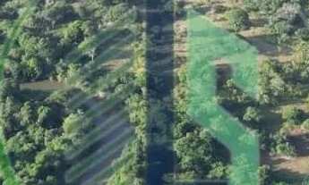 Imagem 5: Vendo Fazenda 410 hectares