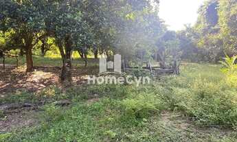 Imagem 3: Fazenda à venda em Niquelândia com 50 alqueires em Goiás
