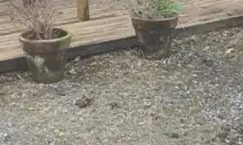 Imagem 2: Sobrado com 2 quartos à venda em Florianópolis/SC!