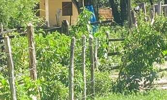 Imagem 2: FAZENDA RURAL em SANTO AMARO - BA, Zona Rural