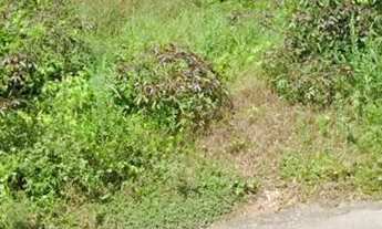 Imagem 4: Terreno Comercial no São Bento 230m2, Bom para Galpão, Kitinete ou Casas