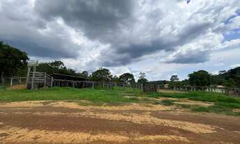 Imagem 5: Fazenda a venda, Próximo a Palmas-TO, Oportunidade