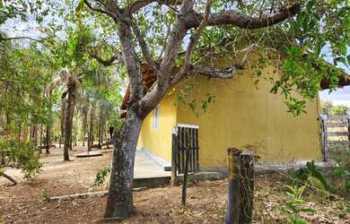 Imagem 6: Chácara 4 alqueires em Hidrolândia, 1km da BR 153 fácil acesso