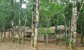 Imagem 6: Lindo lote com casa inacabada vizinho a área de preservação