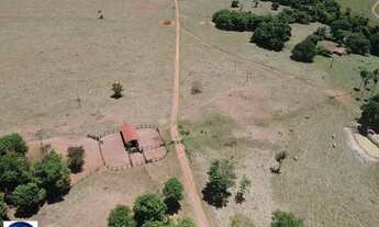 Imagem 3: Fazenda à Venda em Sanclerlândia (GO) 64 Alqueires, Terra Produtiva