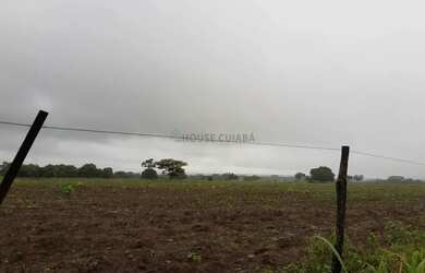 Imagem 6: VENDO FAZENDA 1.226 HECTARES MUNICIPIO DE JANGANDA MT