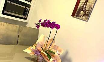 Imagem 2: Aluguel mensal de casa em Balneário Camboriú