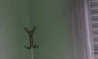 Imagem 6: Sobrado em Rua Pascoal Ranieri Mazzilli - Vila Mendes - São Paulo/SP