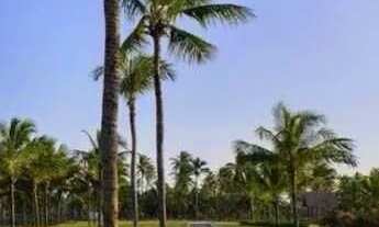 Imagem 7: LOTE NO CONDOMÍNIO THAI RESIDENCE [28337