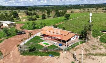Imagem: Fazenda 21,5 alqueires (104,06 hectares)