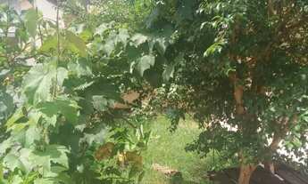 Imagem 3: Casa grande em são bento do sapucai