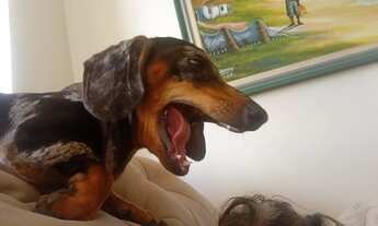 Imagem: Lote 26 de setembro