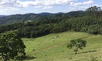 Imagem 7: Lotes a venda com condições super facilitadas