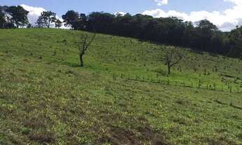 Imagem 6: Venha viver no campo